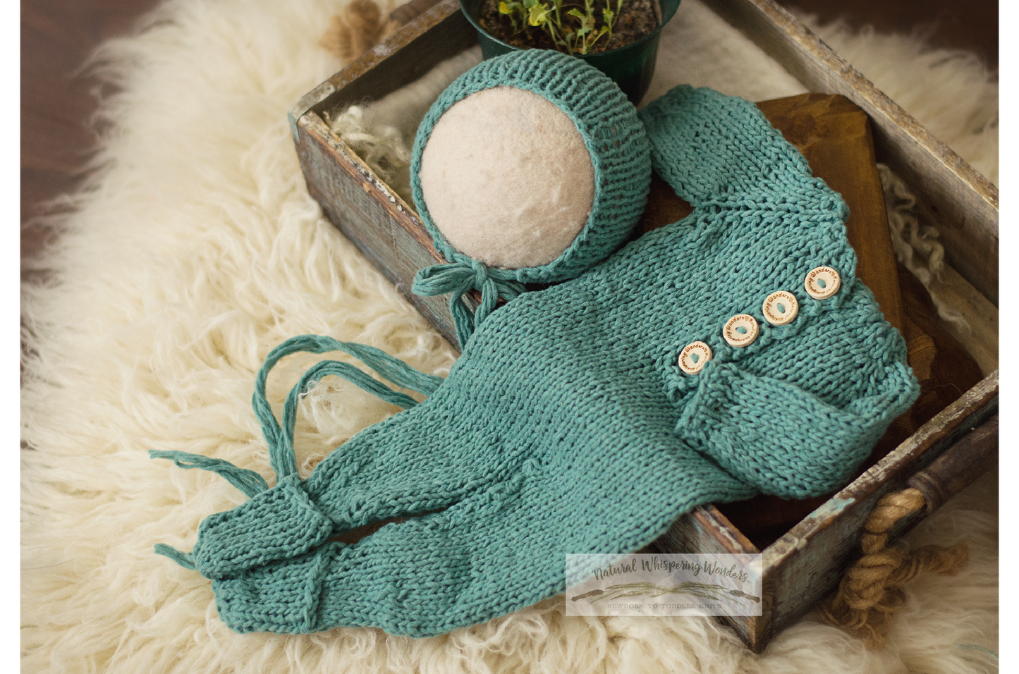 Signature Nova Newborn rts and preorder