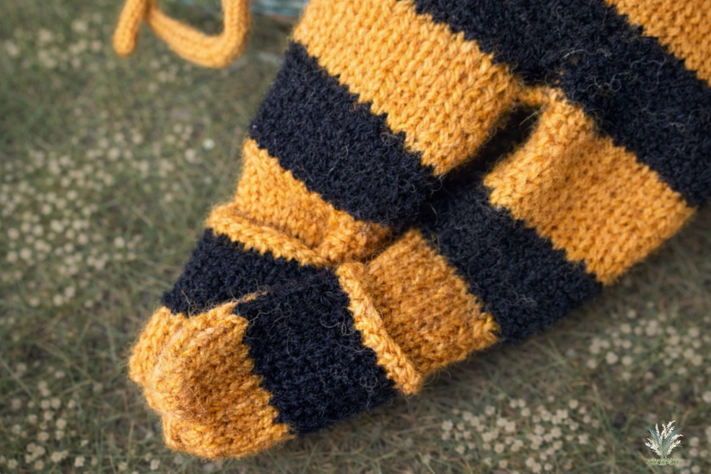 Bee Signature Set preorder