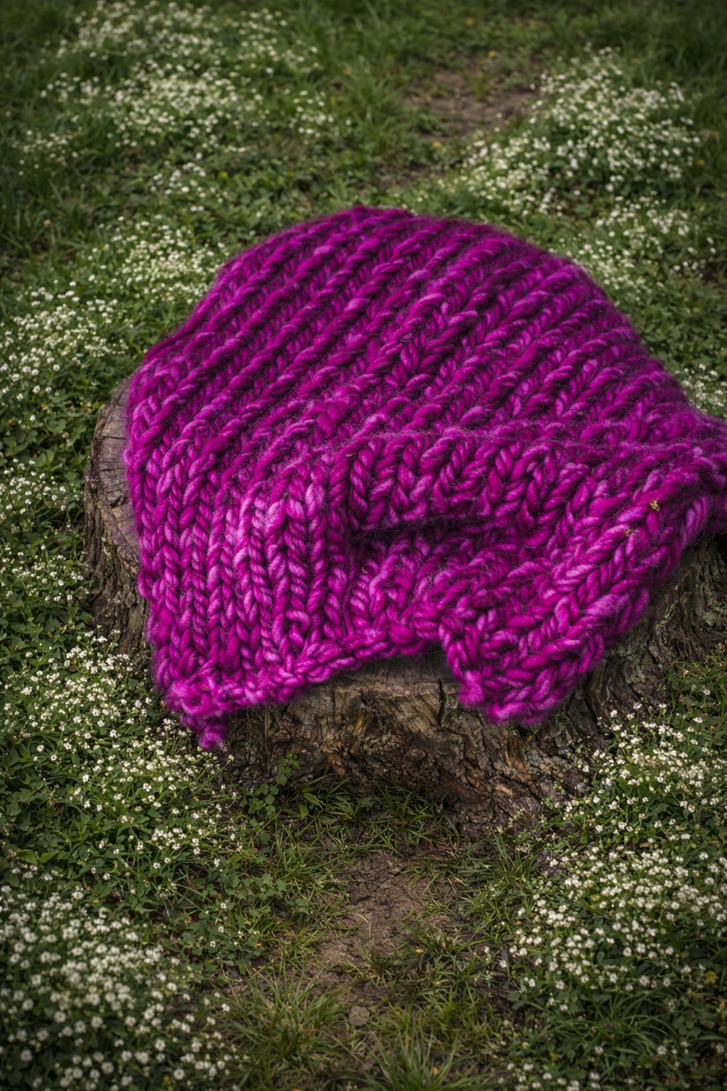 Raspberry thick layer 19”