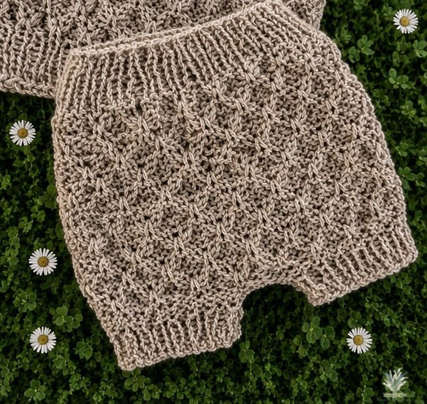 Newborn Textured Sweater Set