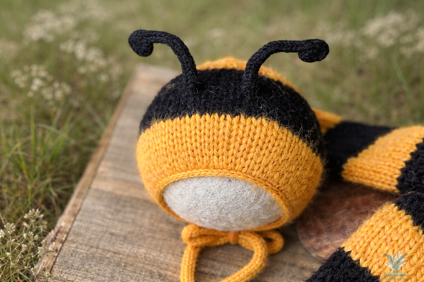 Bee Signature Set preorder