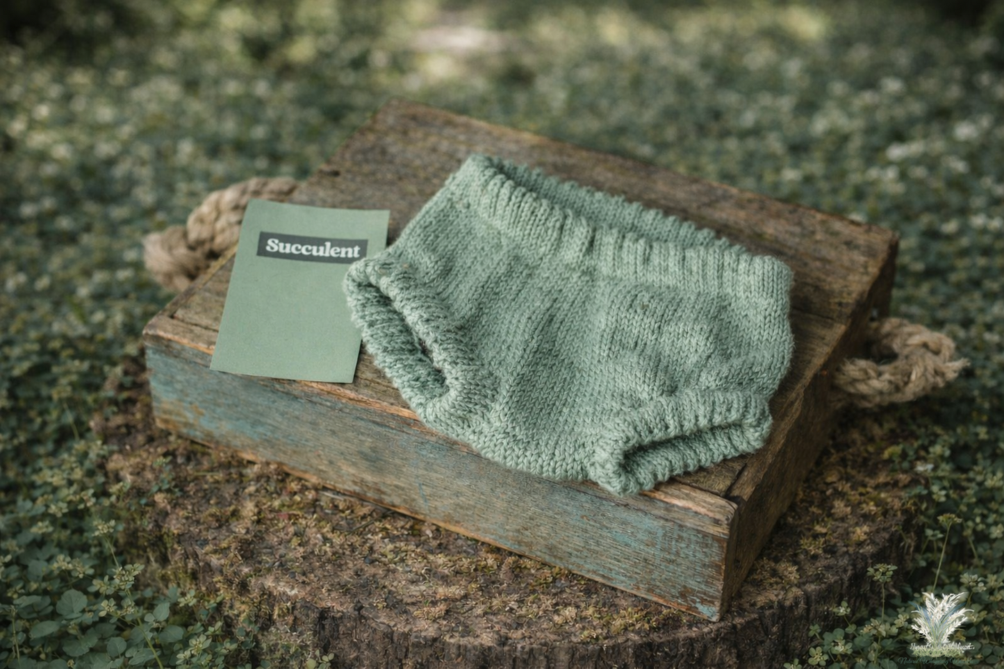 0-3 Month Bloomer (diaper cover) RTS succulent sage